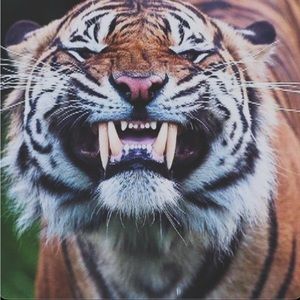 Meet your Posher, Chloe